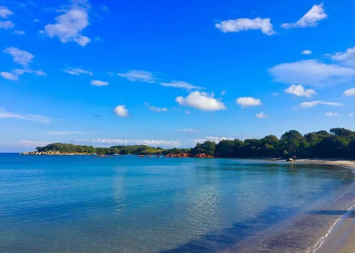 Appartement Valdilicci Porto-Vecchio (Corsica)